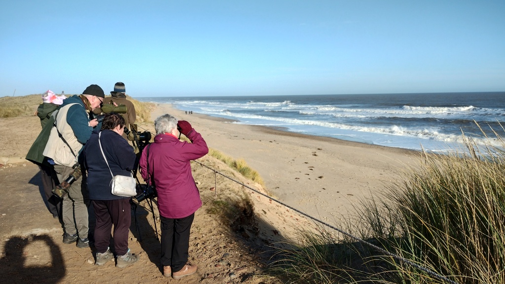 Winterton Beach
