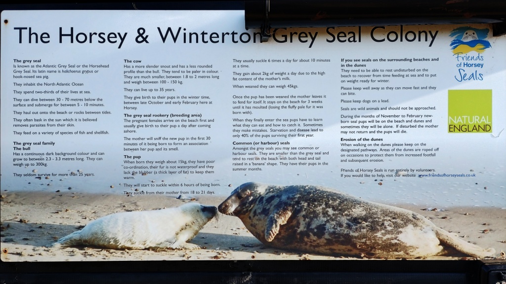 Seal Colony
	Notice