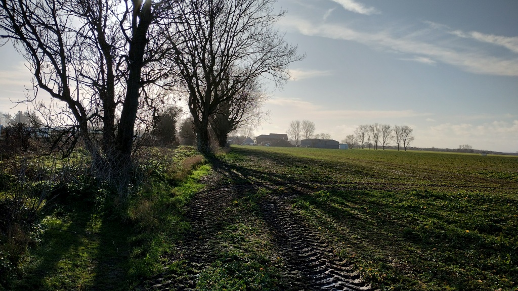 Distant Farm Buildings